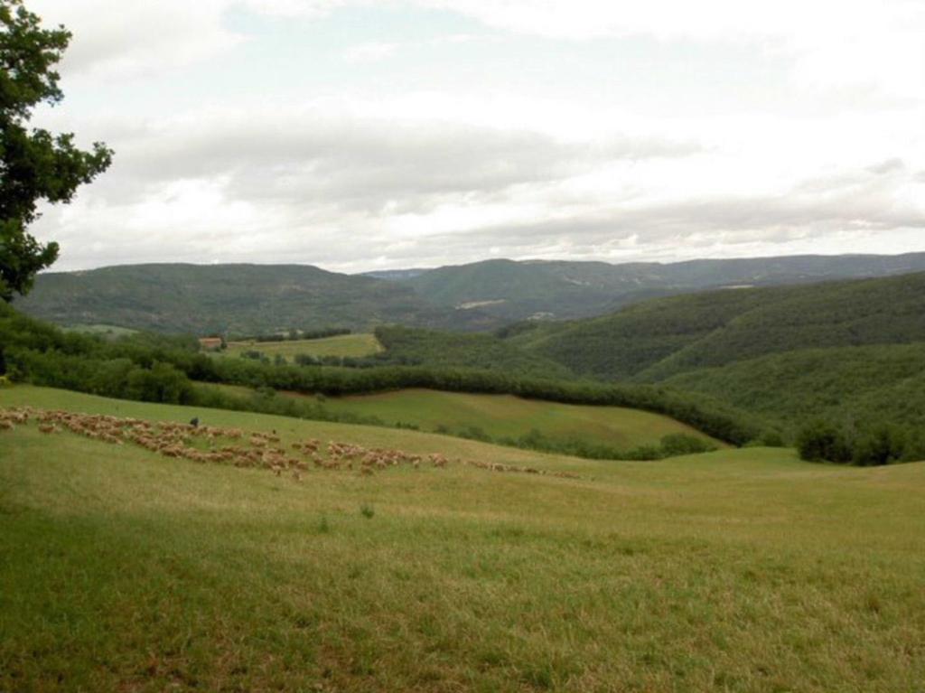 הוילה Gite L'Oustal Occitan A Saint-Juery מראה חיצוני תמונה